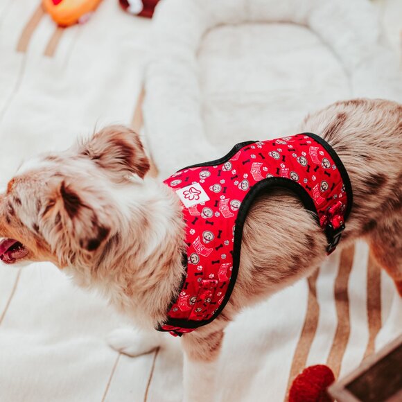 Ohio State Brutus Buckeye Pet Harness - Picture 2 of 16